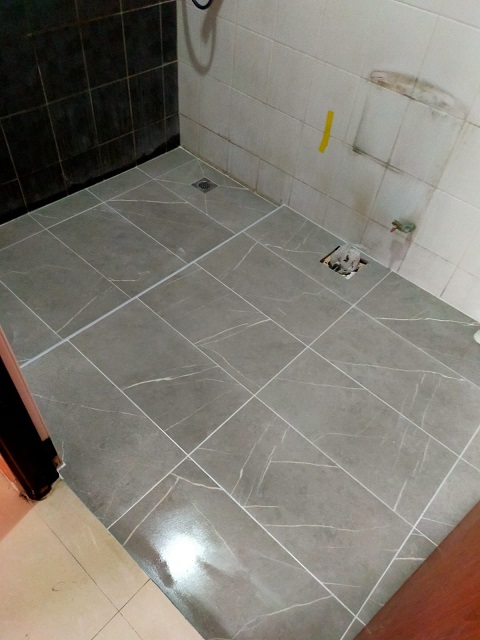 Overlay Toilet Tiles view 5