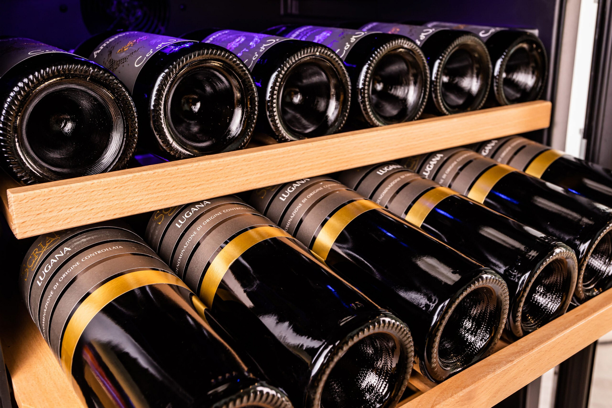 Chateau 50 Bottles Wine Cooler CW-50TH-SNS view 7